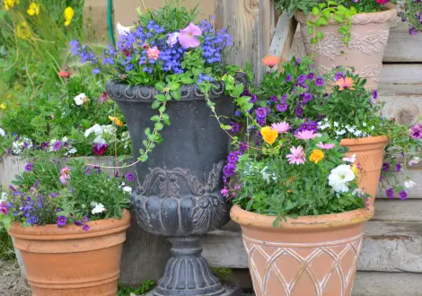 The Art of Gardening Workshop