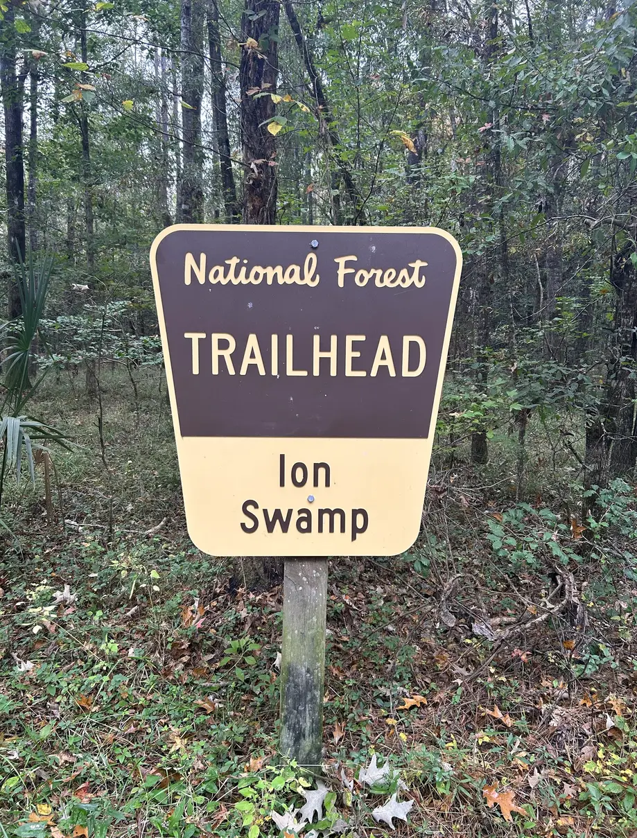Ion Swamp Trail Hike and Sewee Visitors Center
