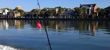 Dolphin Tour