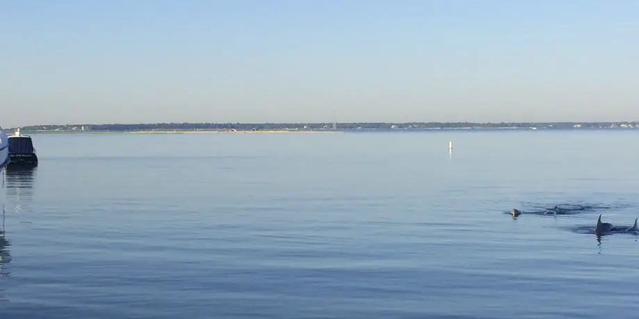Boat Rentals