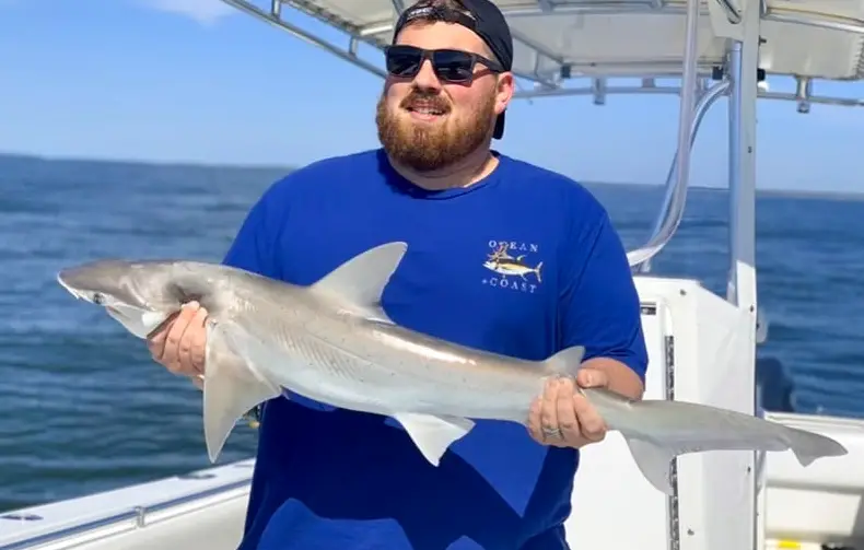 Shark Fishing
