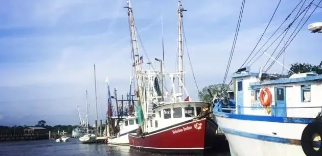 Two Hour Harbor Boat Tour