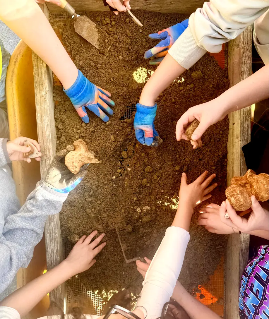 Junior Archaeologists