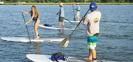 Afternoon Dolphin Safari