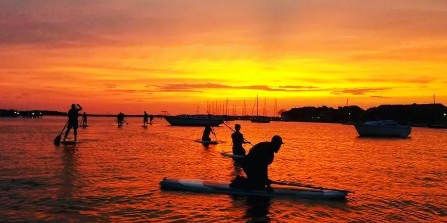 Sunset Dolphin Safari