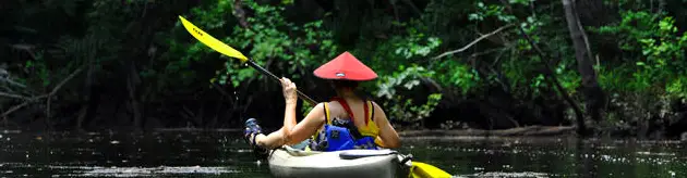 Wadboo Creek Kayak Tour